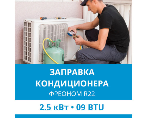Заправка кондиционера Ecostar фреоном R22 до 2.5 кВт (09 BTU)